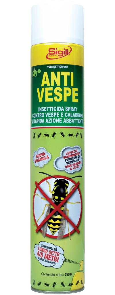 Anti Vespe e Calabroni Spray Bomboletta Antivespe Insetticida 750ml